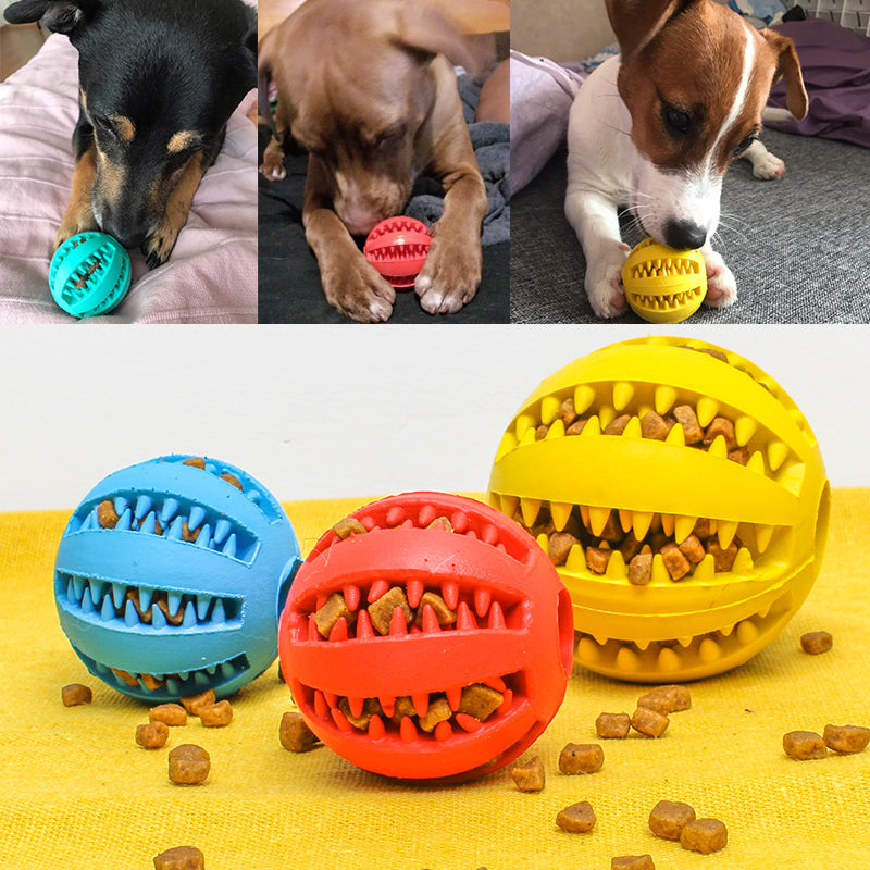 Smart toy for dogs