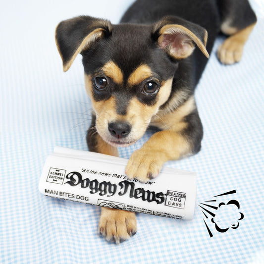 Squeaky Newspaper Dog Toy.