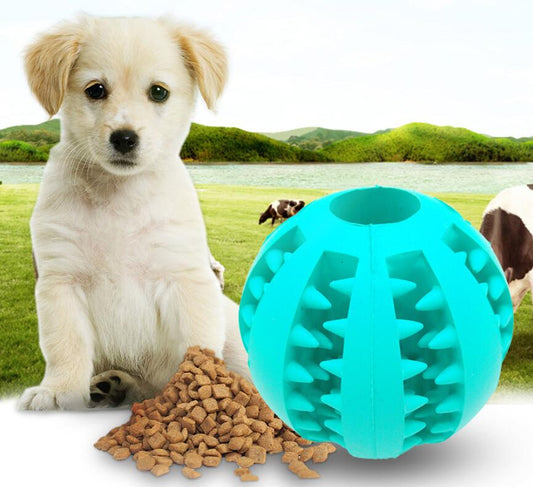 Smart toy for dogs